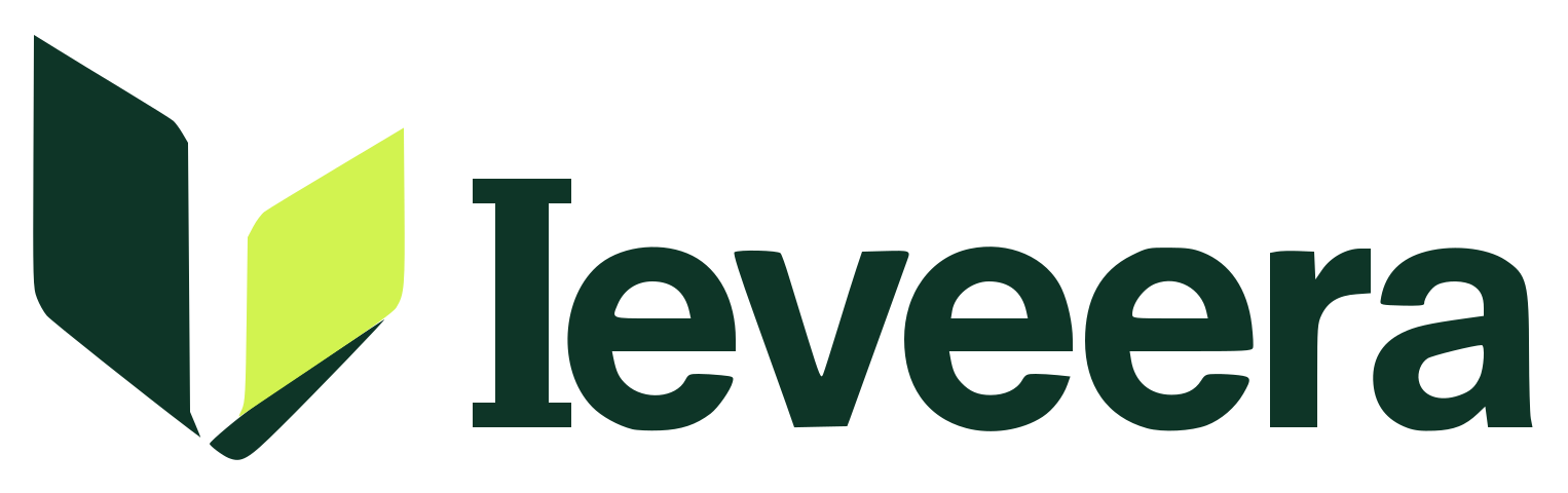 Ieveera SEO